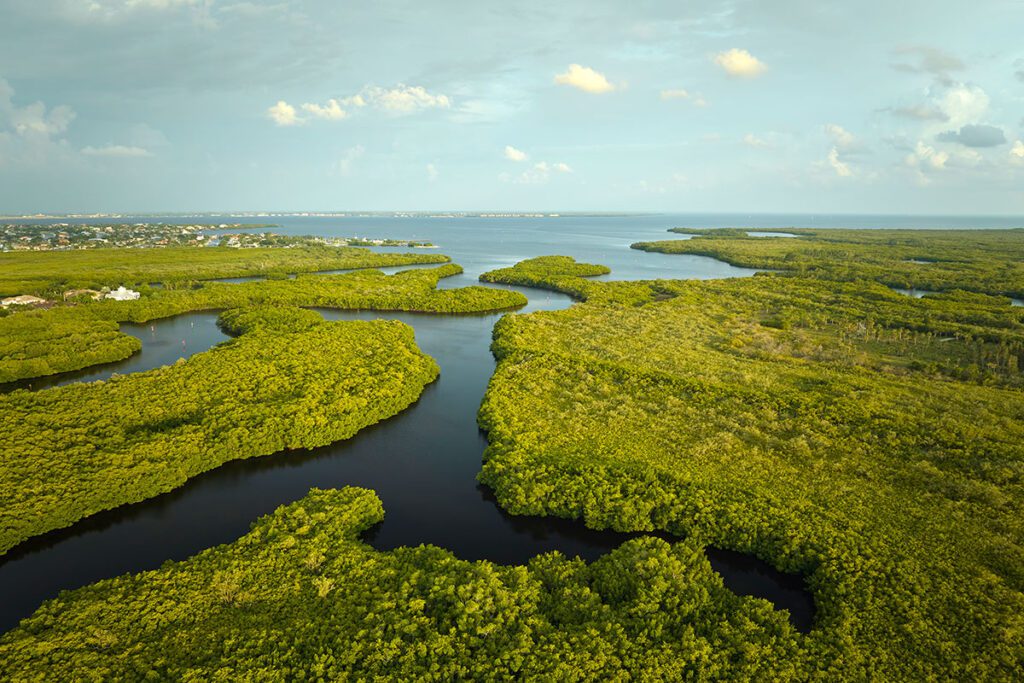 The Florida Everglades: Exploring the Wonders of Travel in the USA www.usainfy.com