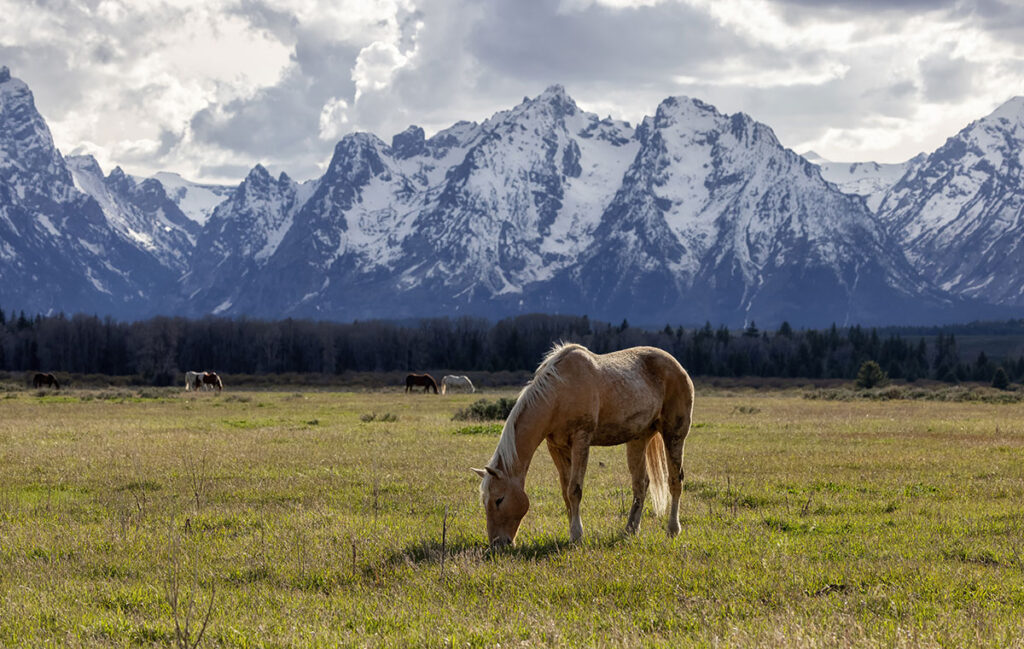 Sustainable Travel in the USA: www.USAinfy.com